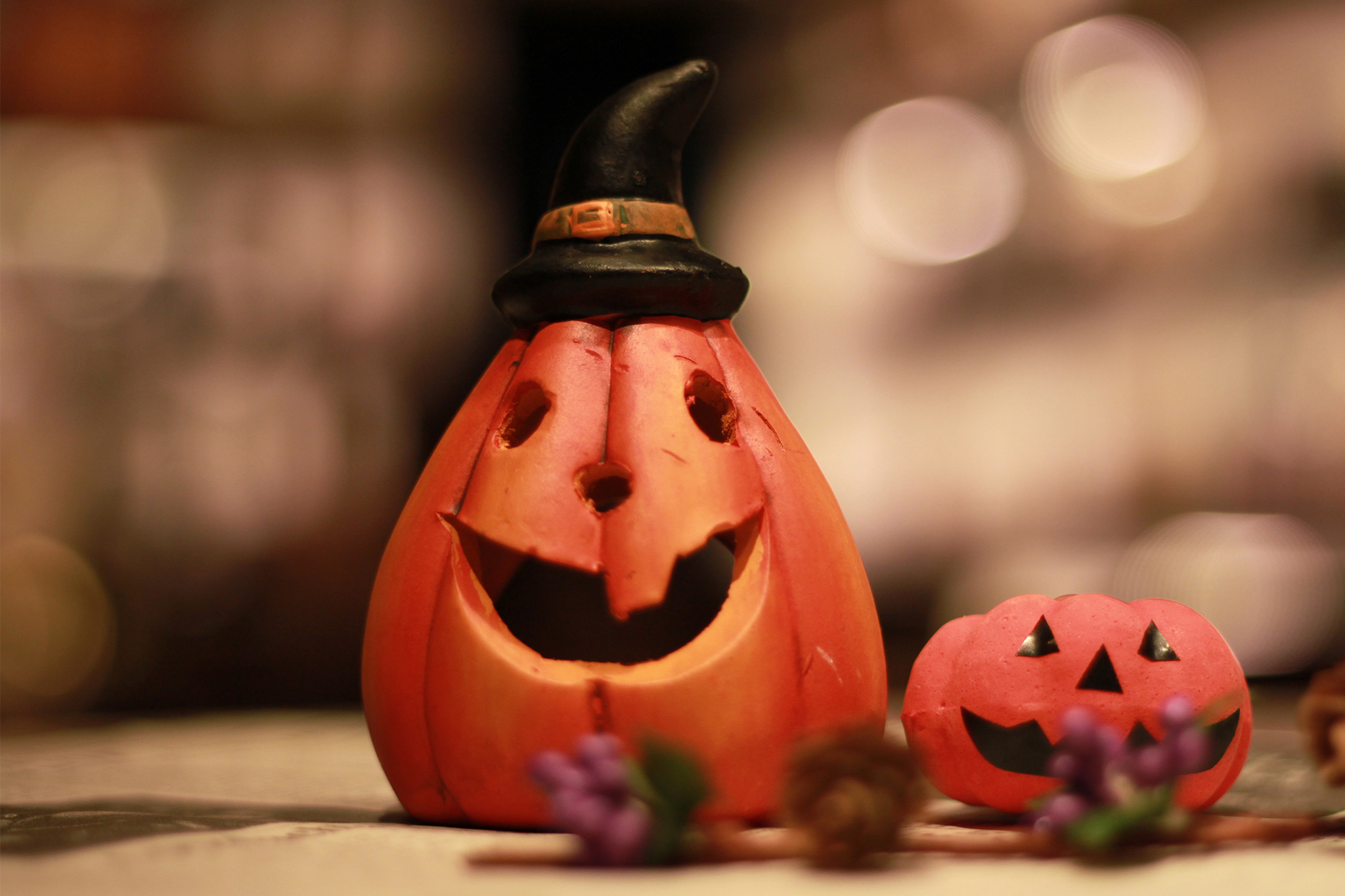 Nhl各チームアリーナへの行き方解説 カナダ ウェスタンカンファレンス たびねこ亭へようこそ