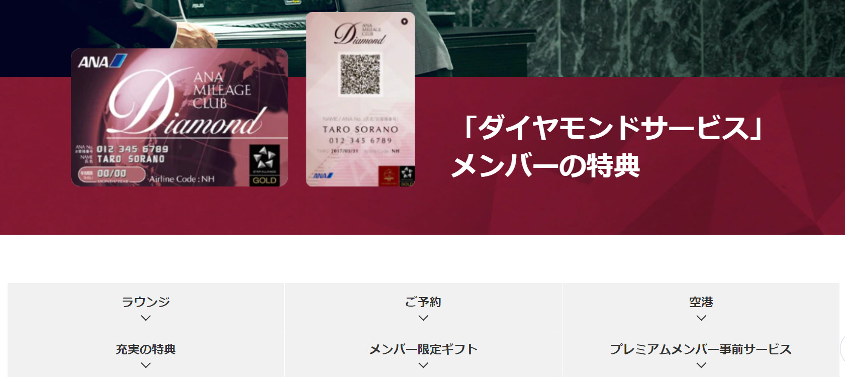 ANAダイヤモンドステータス修行～2021～ | たびねこ亭へようこそ